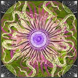 Sacred Vapor‐Orbit