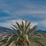 Don’t Leave Me Now