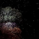 Бесконечное множество простых чисел