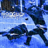 Fuck the Police Forever (Even Vegans Wanna See the Pigs Burn)