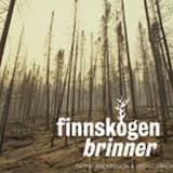 Polsdans, Helgesen II