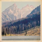 Give Me Some of Yr Love