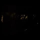 I Can Hear The Nightbirds Gathering