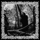 Falling snow through the valley of the shadow of God