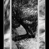 Fear, in a handful of dust