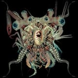 Heretic (DJ Skull Vomit Remix)