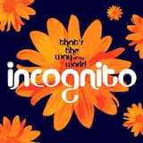 That’s the Way of the World (Ski Oakenfull vs Incognito remix)