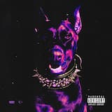 Голодный пёс