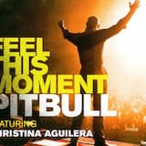 Feel This Moment (radio version)
