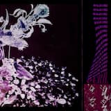 𝘾𝙧𝙤𝙨𝙨𝙧𝙤𝙖𝙙𝙨