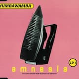 Amnesia (single mix)