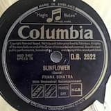 If You Stub Your Toe on the Moon