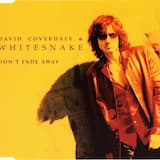 Don't Fade Away (radio edit)