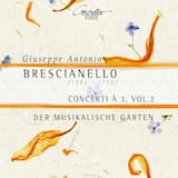 Concerto settimo in A minor: I. Allegro assai