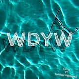 WDYW