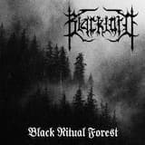 Dreaming Into the Eternal Forest