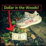 Dollar in the Woods!
