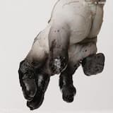 The Fennecs Name is Defiance