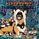 Post Mortem non stop