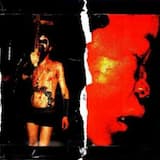 And the Tears of Our Fatherland Fell