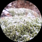 Far Beyond the Stars