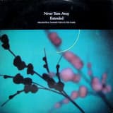 Never Turn Away (extended version)