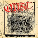 Never Trust a Politician