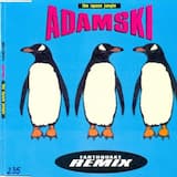 The Space Jungle (Earthquake 12" remix)