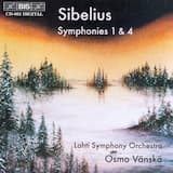 Symphony no. 1 in E minor, op. 39: I. Andante, ma non troppo - Allegro energico