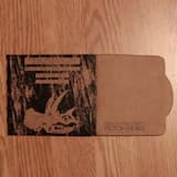 I'd Rather Soar With the Thought of Birds Carrying Us Away