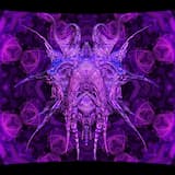 ⊶⊚⊖⬚⊟⊑∷༜⊚༜∷⊒⊞⬚⊖⊚⊷