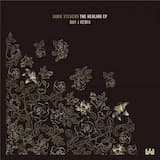 My Tears Don't Help Me (Guy J Remix)