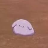 ditto was all alone :(((((