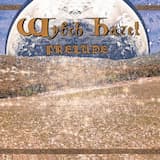 More Than Conquerors