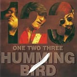 野生の眼をした少年