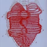 Feast for the Black Sky