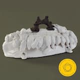 Symphony no. 4 in C major: I. Allegro molto moderato