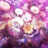 I Just Wanna Be Real