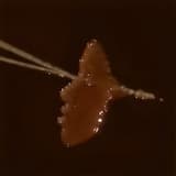 Feelings Aren’t Facts