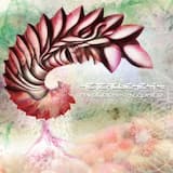 Universos Incorporales