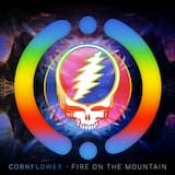 Fire on the Mountain