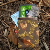 Palm Trees on the Courthouse Steps