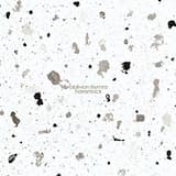 My Mind Was a Fog… My Heart Became a Bomb