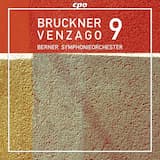 Symphony no. 9 in D minor: I. Feierlich, misterioso