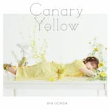 Canary Yellow