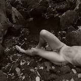 The Mechanics of Intercourse