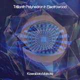 Trillionth Polyhedron in Electrowood