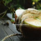 Zeta Reticuli Express