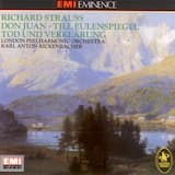 Don Juan: Symphonic Poem, op. 20