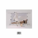 ¿De qué me sirve llorar?